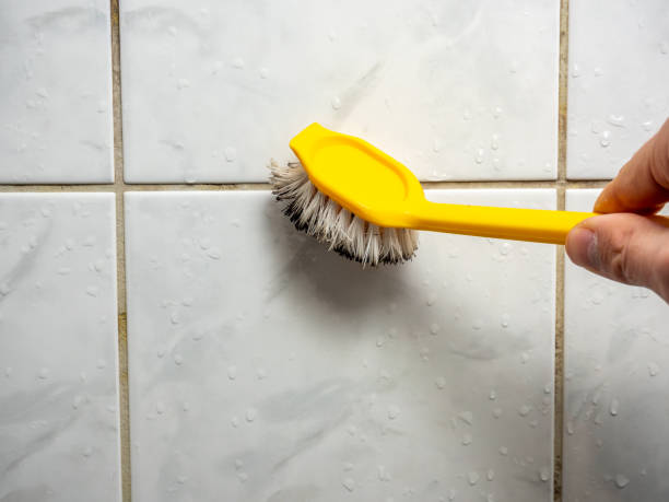 Best Toxic Mold Removal  in Ayden, NC